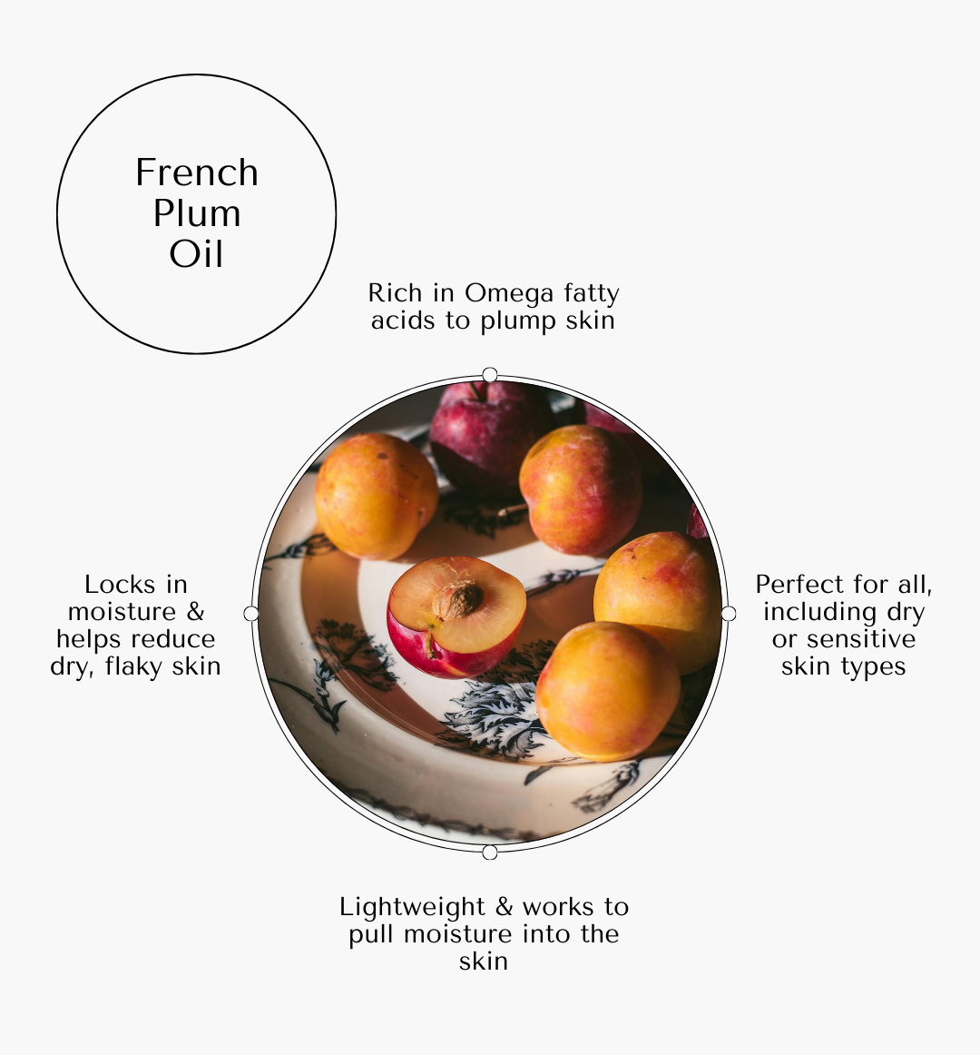 French Plum Lip Balm: Ultra Hydrating